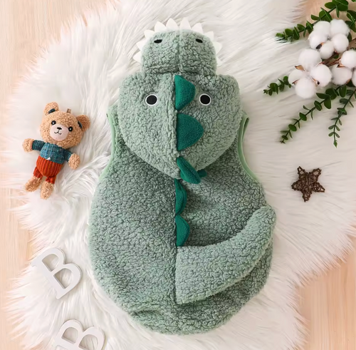 Unisex Dinosaur pajama